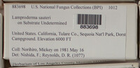 Image Associated With the Occurence